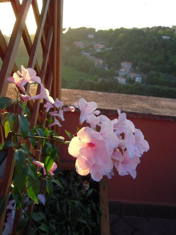 Casa Vacanze Palazzo Primoli อาริชชา ภายนอก รูปภาพ